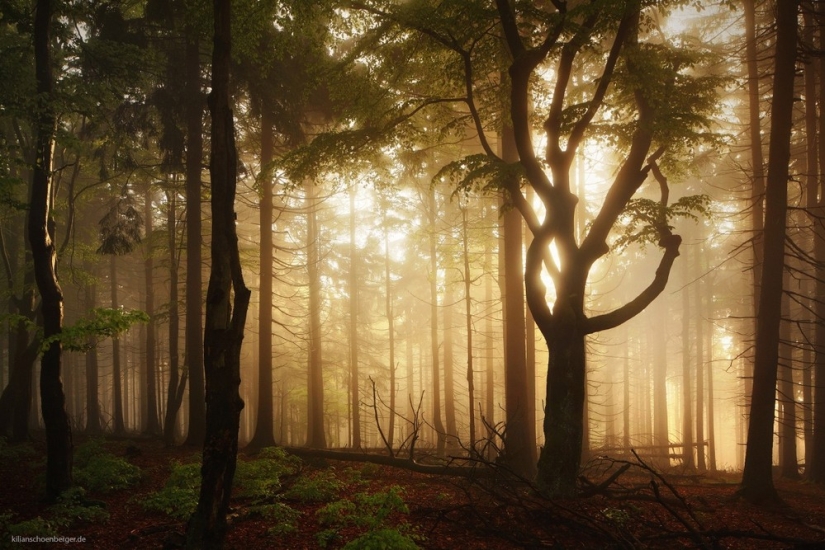 Increíbles paisajes inspirados en los cuentos de hadas de los hermanos Grimm