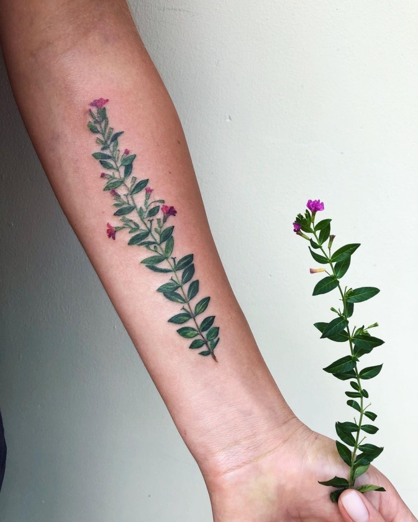 Incredible tattoos that cannot be distinguished from living plants