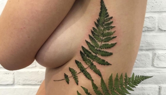 Incredible tattoos that cannot be distinguished from living plants