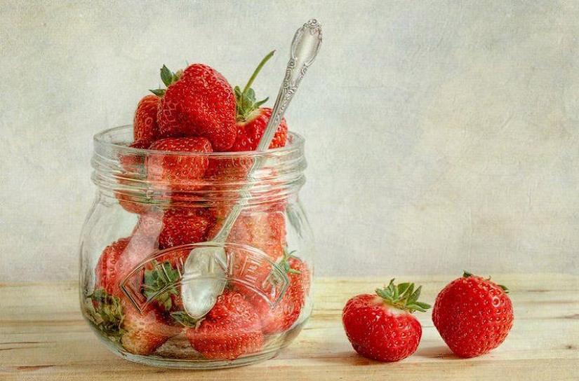 Incredibly delicate work by photographer Mandy Disher