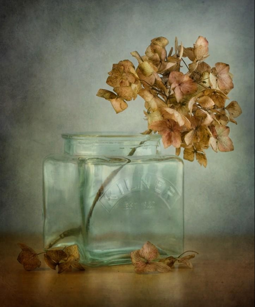 Incredibly delicate work by photographer Mandy Disher