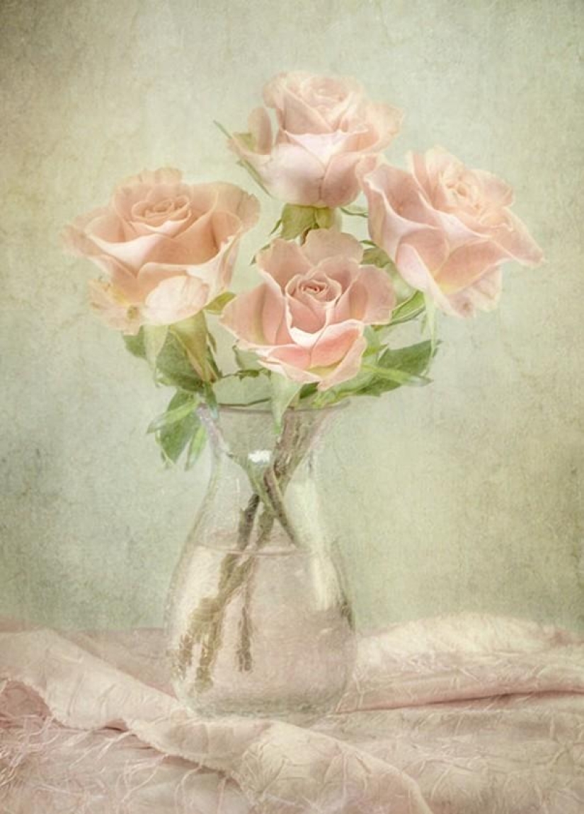 Incredibly delicate work by photographer Mandy Disher