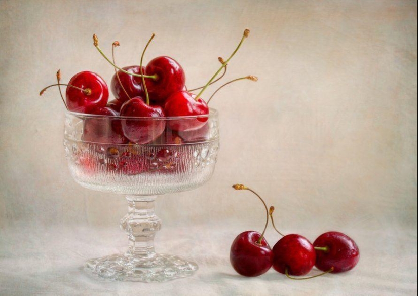 Incredibly delicate work by photographer Mandy Disher