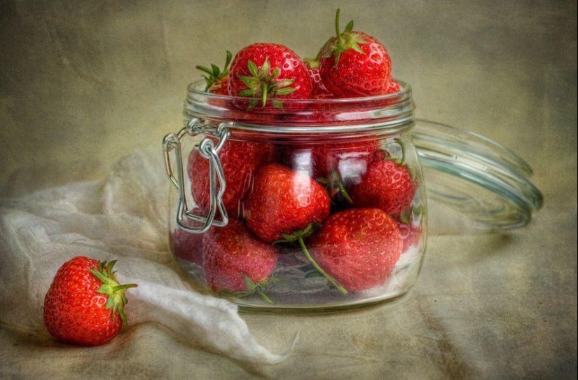 Incredibly delicate work by photographer Mandy Disher