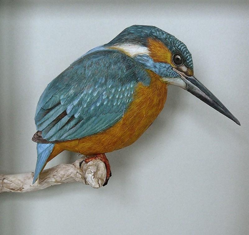Incredibly realistic 3D paper birds Incredibly realistic 3D paper birds