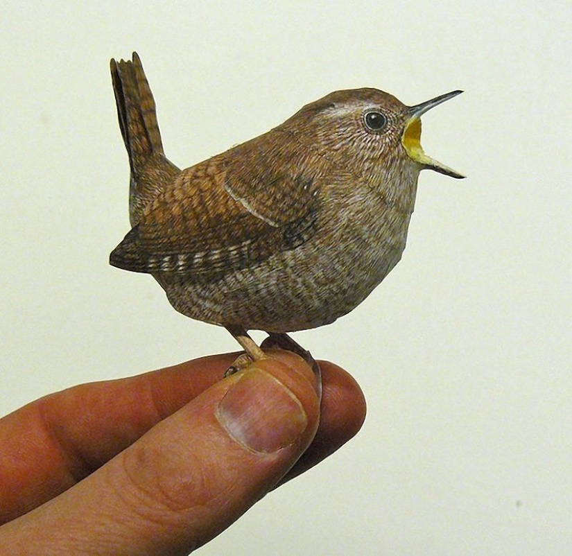Incredibly realistic 3D paper birds Incredibly realistic 3D paper birds