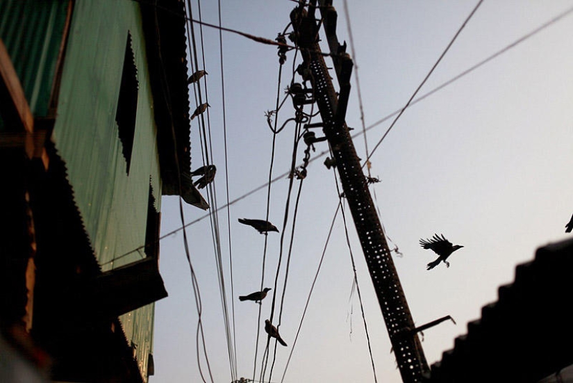 Infancia robada - Niñas prostitutas de Bangladesh