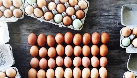 Instagram User Turns Food Into Rainbow Paintings Instagram User Turns Food Into Rainbow Paintings