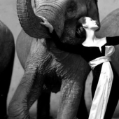 Instantánea en un millón: las tomas más caras de la historia de la fotografía