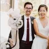 Instead of people, you can now invite a lama in a bow tie to a wedding