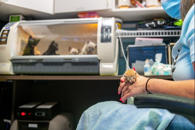 International Pet Photographer Of The Year Awards: 15 Best Images Of 2023