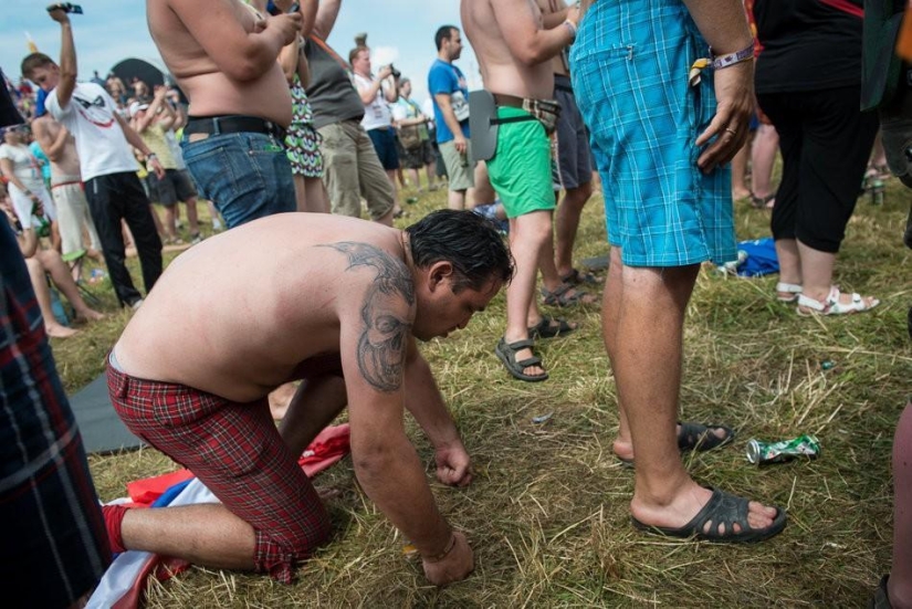 Invasion - survive in spite of! ..