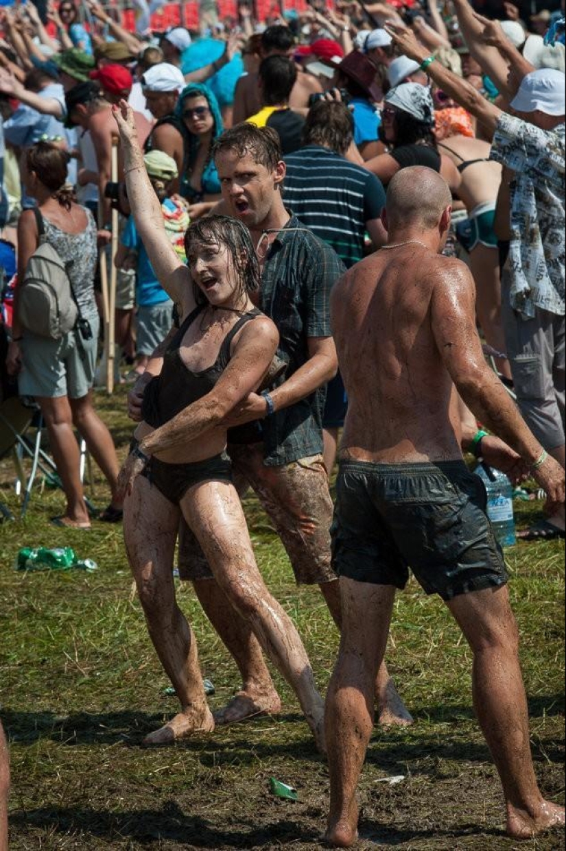 Invasion - survive in spite of! ..