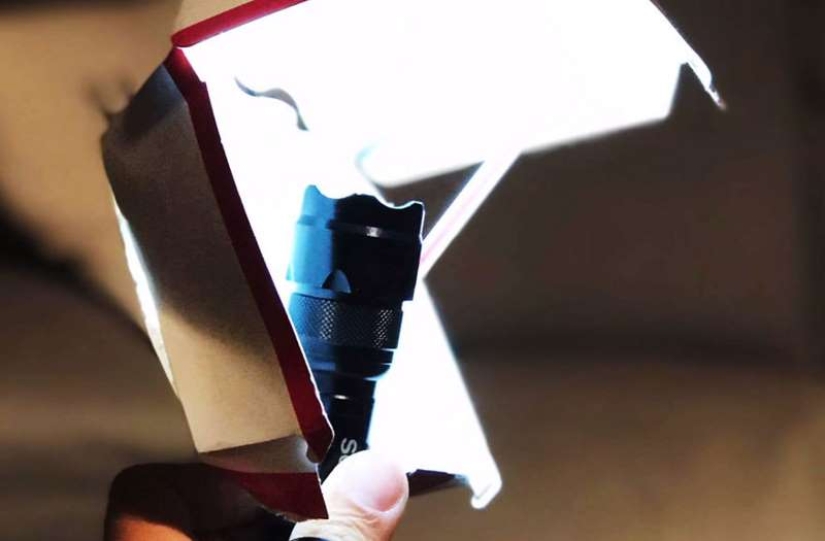 iPhone, Big Mac box and no magic: the photographer made cool portraits with the help of improvised means