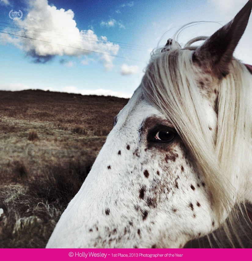 iPhone Photography Awards 2013 iPhone Photography Awards 2013