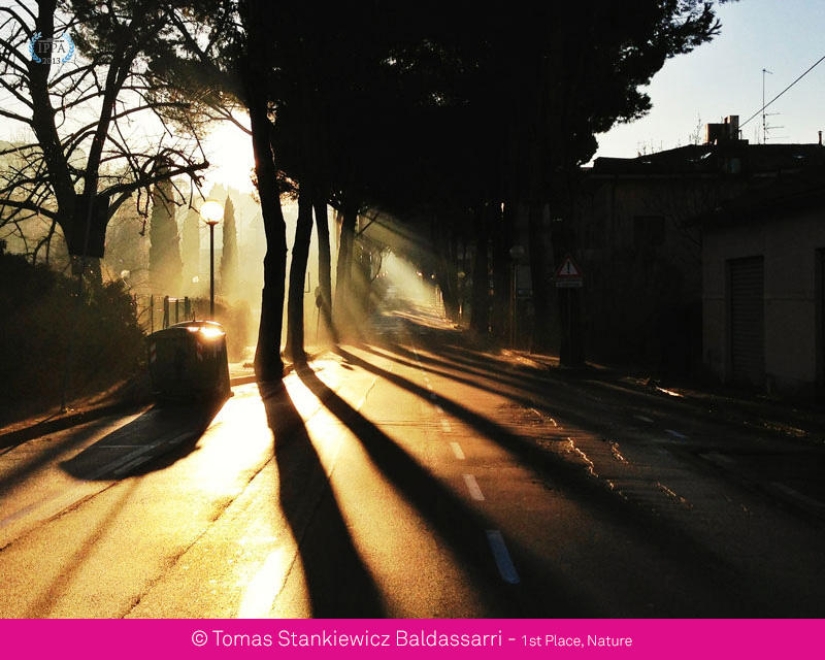 iPhone Photography Awards 2013 iPhone Photography Awards 2013