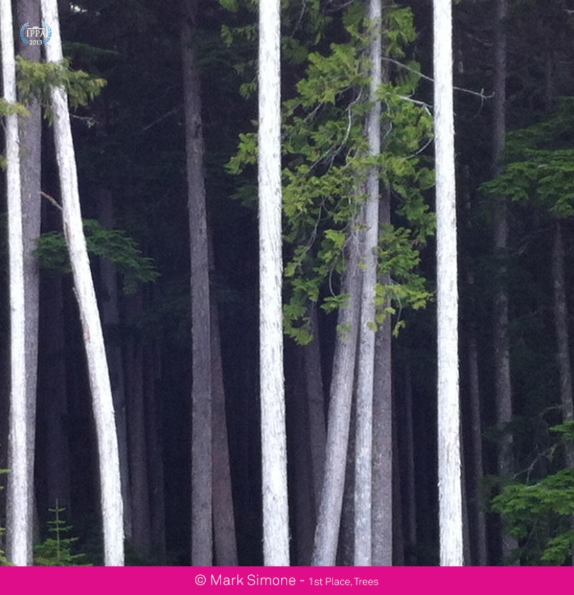 iPhone Photography Awards 2013 iPhone Photography Awards 2013