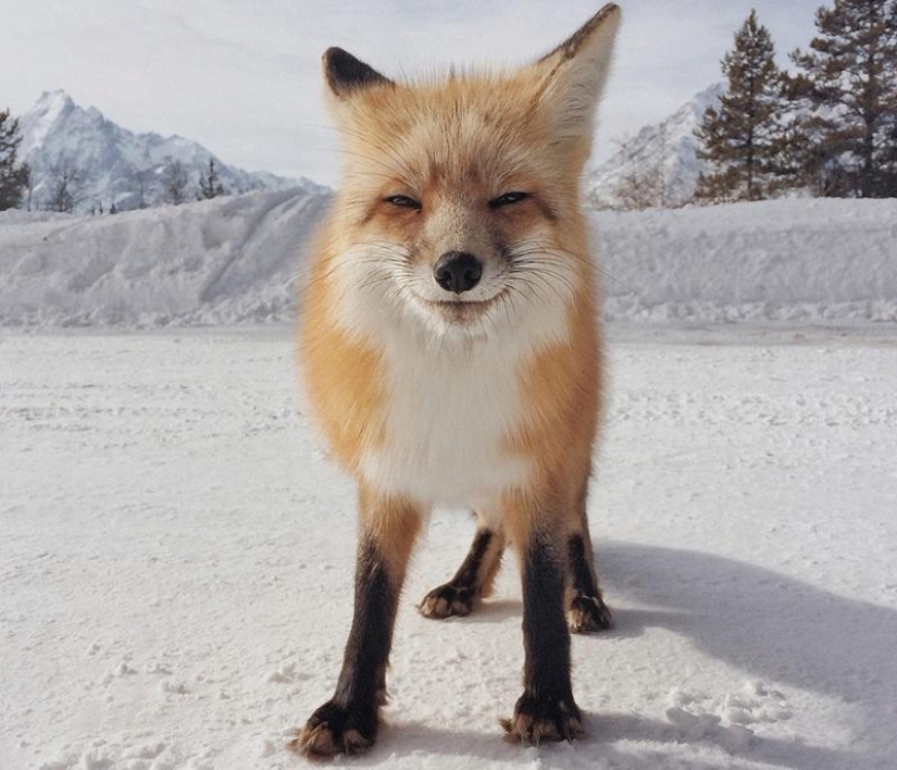 iPhone Photography Awards 2014 Winners