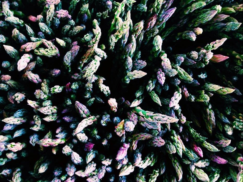 iPhone Photography Awards 2014 Winners