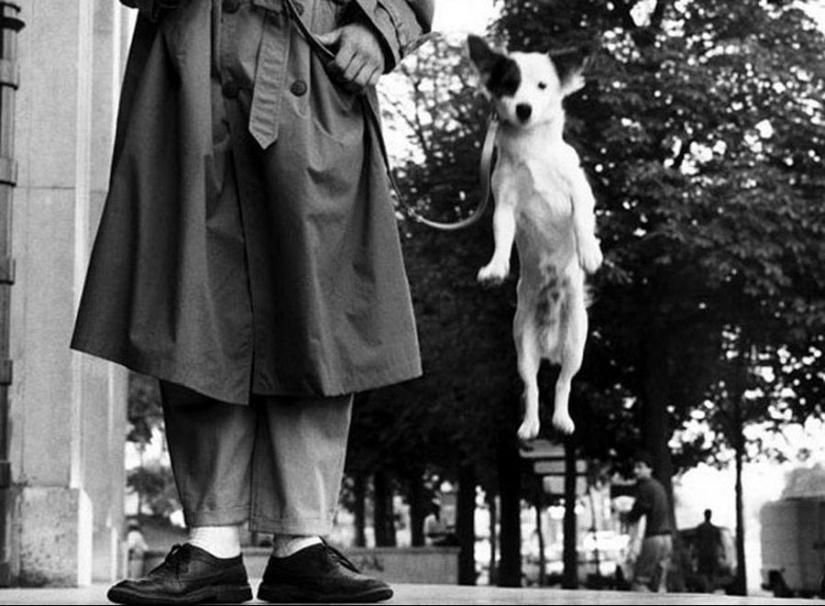 Ironic photographs by Elliott Erwitt Ironic photographs by Elliott Erwitt