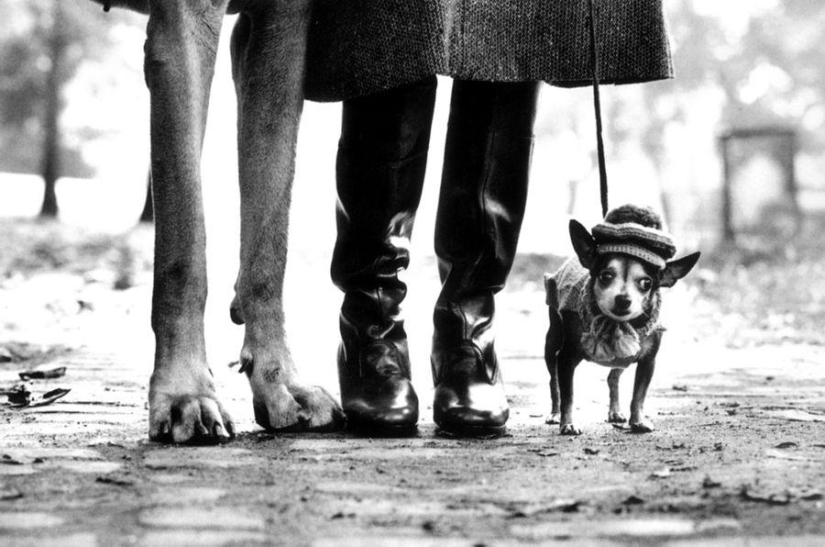 Ironic photographs by Elliott Erwitt Ironic photographs by Elliott Erwitt