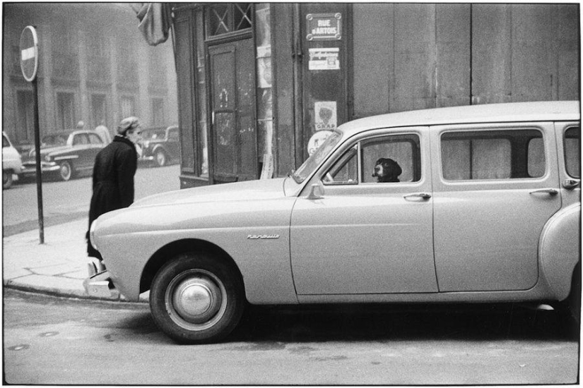 Ironic photographs by Elliott Erwitt Ironic photographs by Elliott Erwitt
