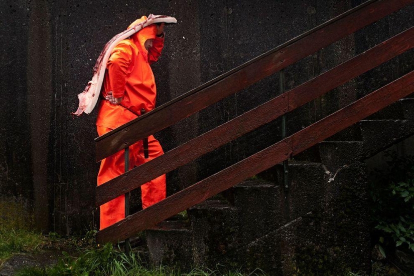 Isleño de las Islas Feroe intenta justificar la crueldad de la matanza de ballenas Isleño de las Islas Feroe intenta justificar la crueldad de la matanza de ballenas