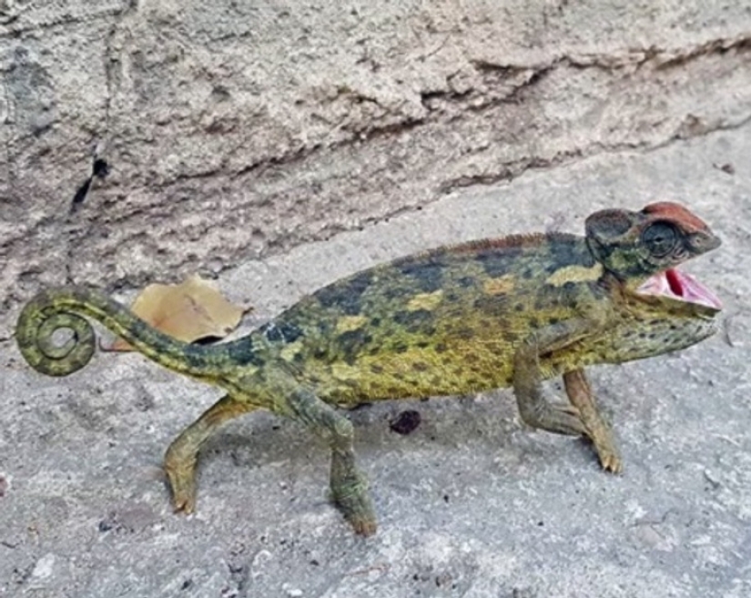 Israel is a very unusual country, and here are 22 proofs