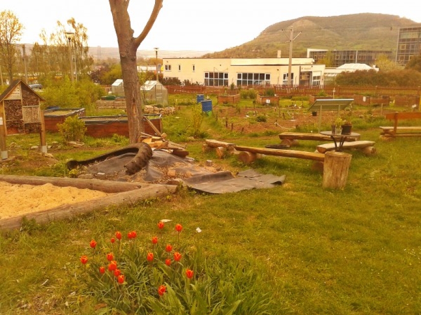 It cannot be demolished, repaired: how the Germans turn their "Khrushchevki" into decent housing