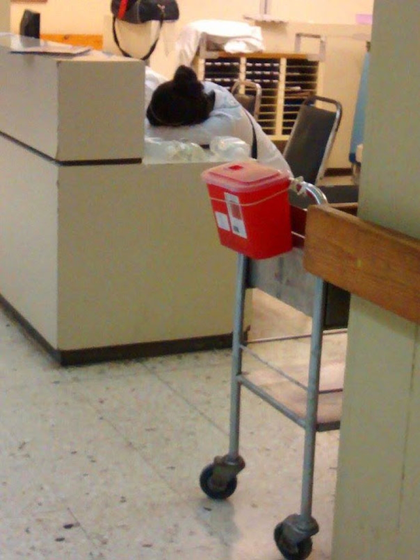 #ITogeLay down: un flash mob de médicos en apoyo de un residente dormido