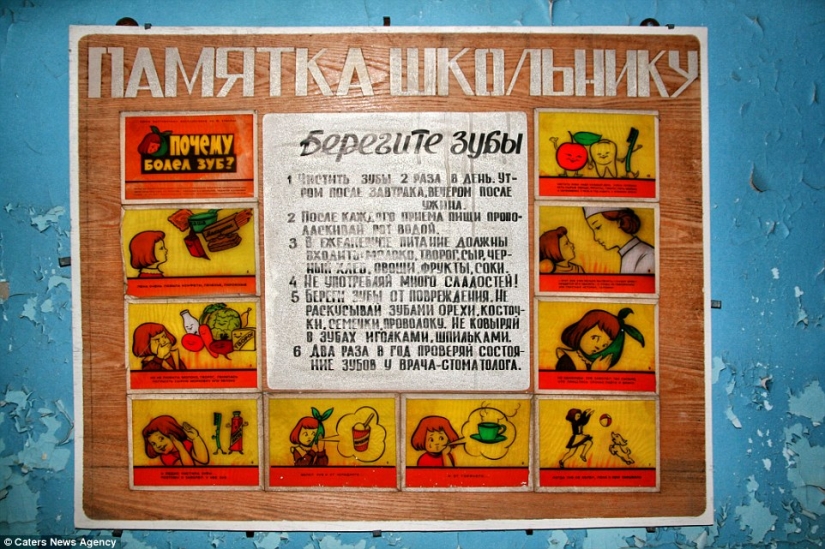 It's as if humanity has left the Earth: 31 years ago there was an accident at the Chernobyl nuclear power plant