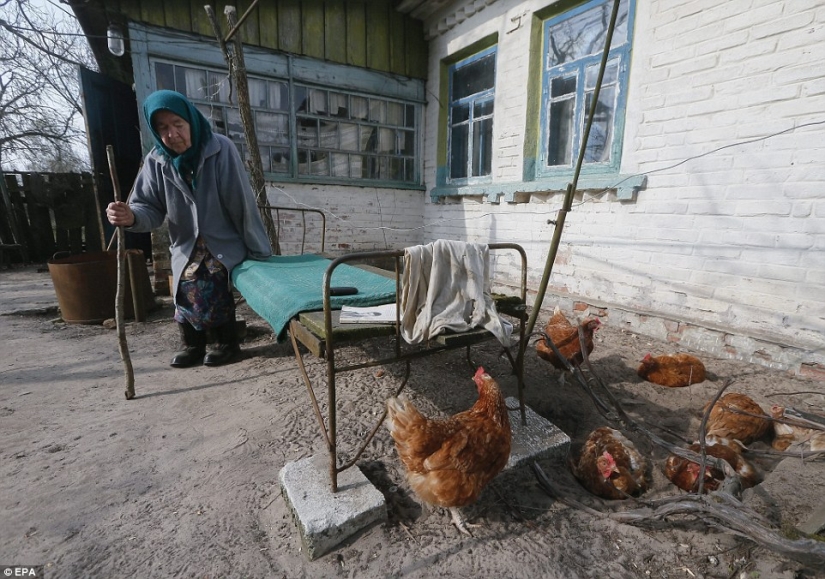 It's as if humanity has left the Earth: 31 years ago there was an accident at the Chernobyl nuclear power plant