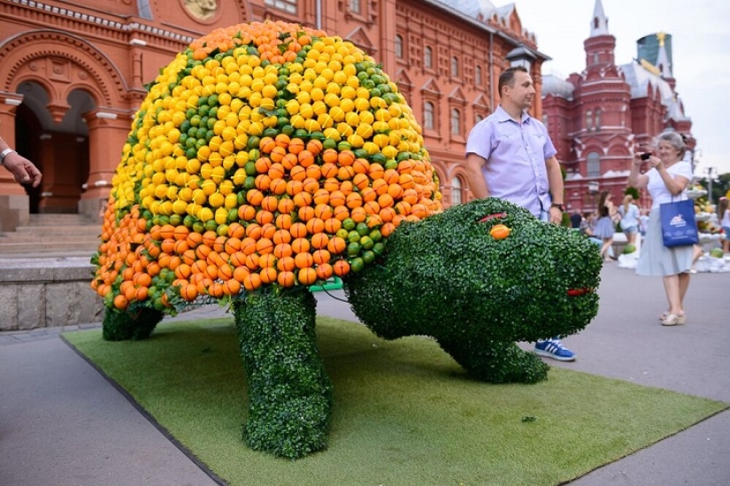 Jam Festival in Moscow. Where to go on the weekend