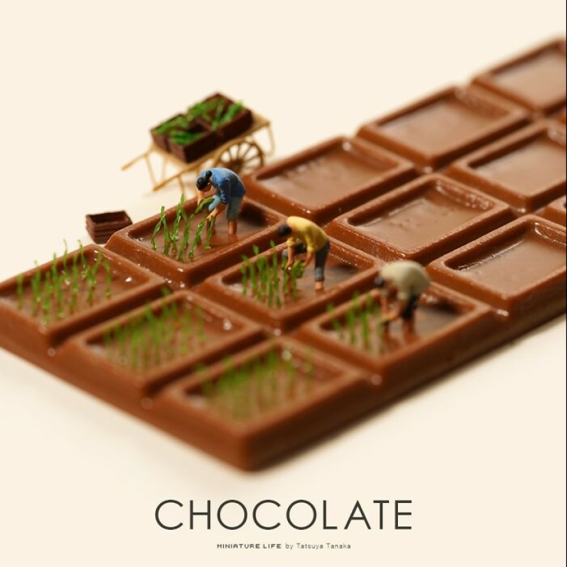 Japanese Artist Has Been Creating Miniature Scenes Every Day For 12 Years Japanese Artist Has Been Creating Miniature Scenes Every Day For 12 Years