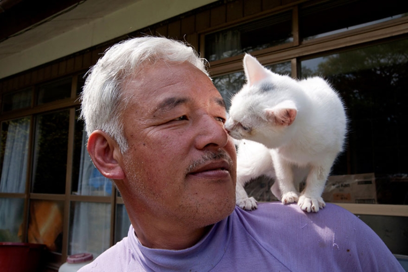 Japanese man returns to Fukushima contaminated area to feed abandoned animals Japanese man returns to Fukushima contaminated area to feed abandoned animals