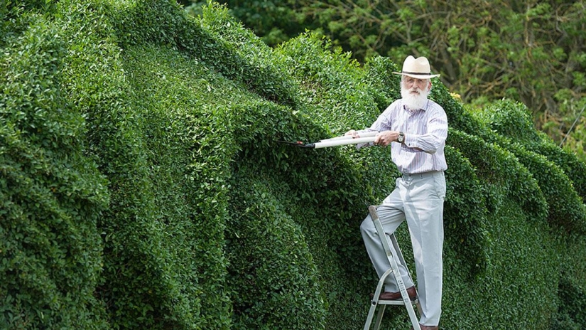 John Stormborn: An Englishman Raised a Dragon on His Lawn John Stormborn: An Englishman Raised a Dragon on His Lawn