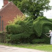 John Stormborn: un inglés crió un dragón en su césped