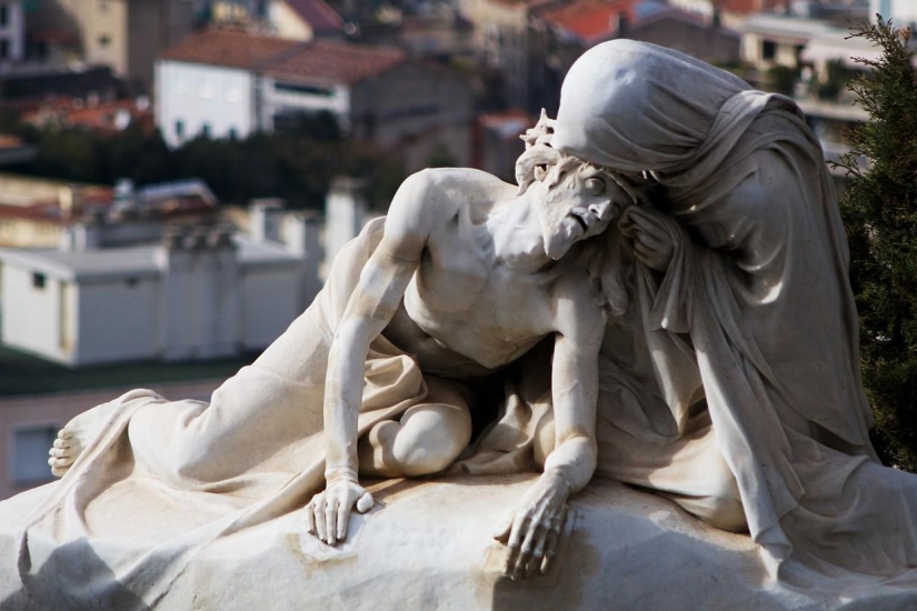 Journey through the most fragrant region of France