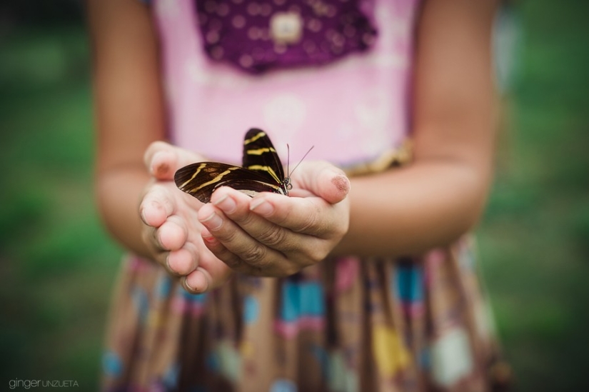 Joy Project: 365 Days in the Life of an American Family