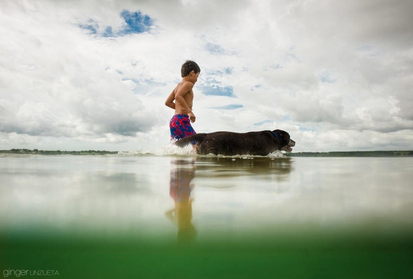 Joy Project: 365 Days in the Life of an American Family