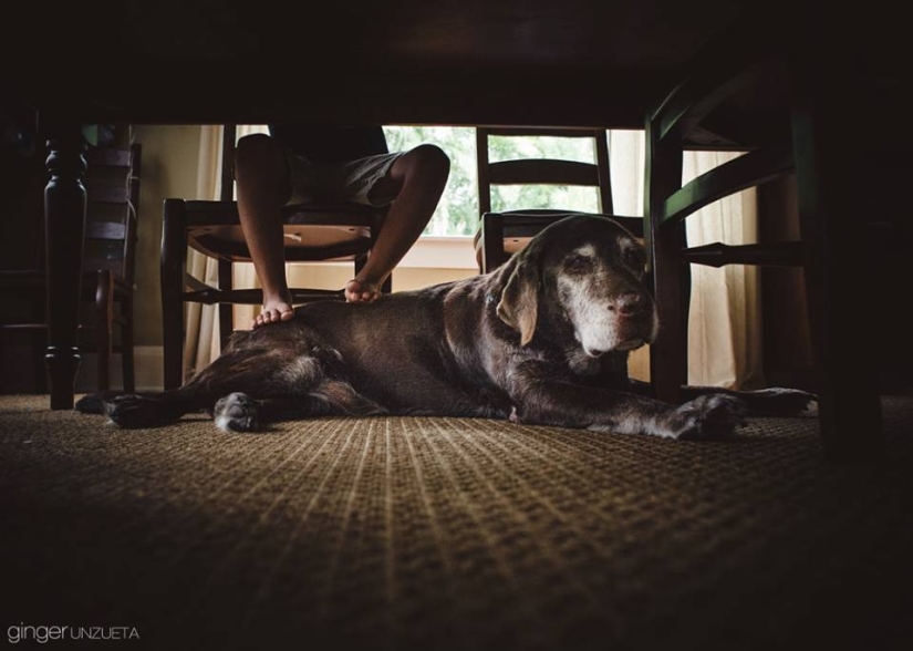 Joy Project: 365 Days in the Life of an American Family