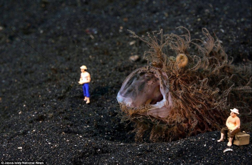 juguetes de vida submarina juguetes de vida submarina