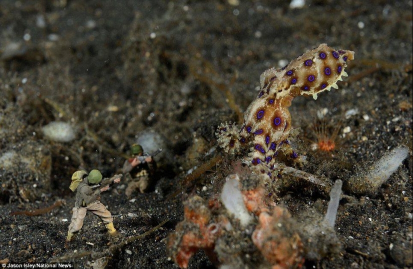 juguetes de vida submarina juguetes de vida submarina