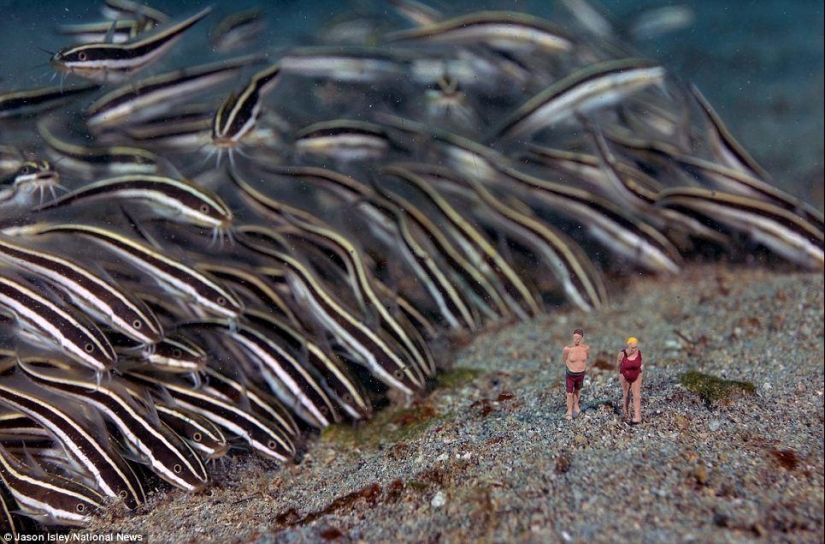 juguetes de vida submarina juguetes de vida submarina