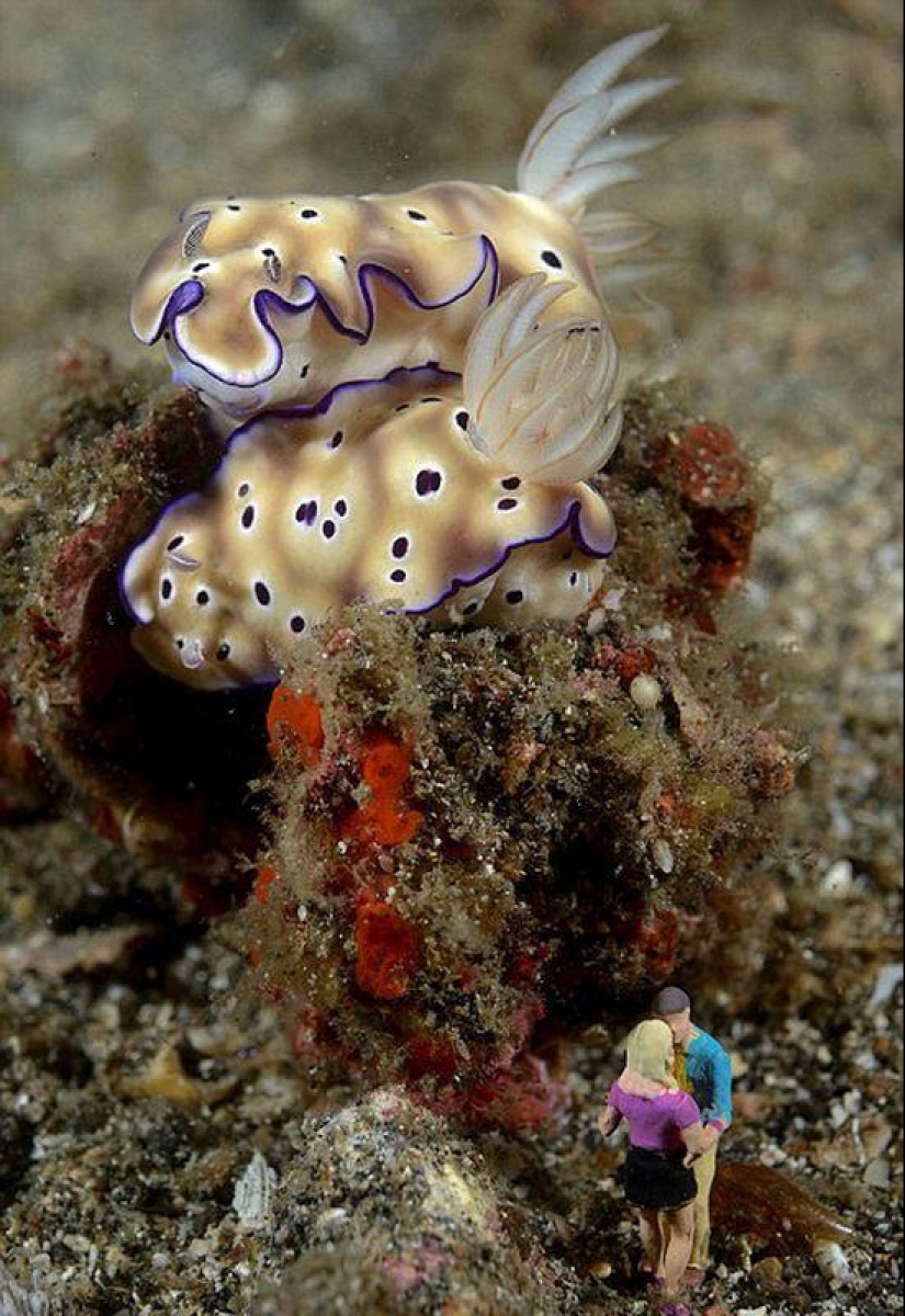 juguetes de vida submarina juguetes de vida submarina