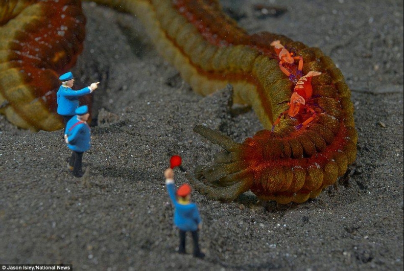 juguetes de vida submarina juguetes de vida submarina