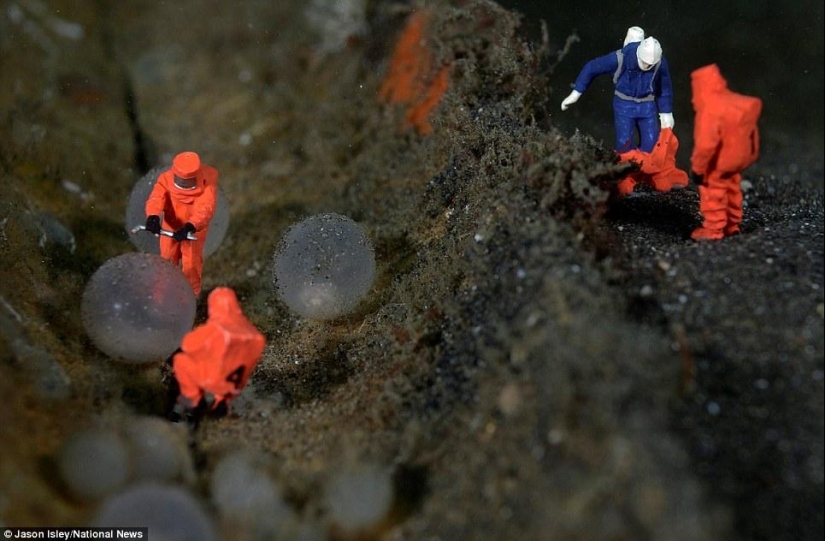 juguetes de vida submarina juguetes de vida submarina