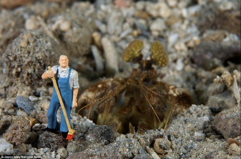 juguetes de vida submarina juguetes de vida submarina