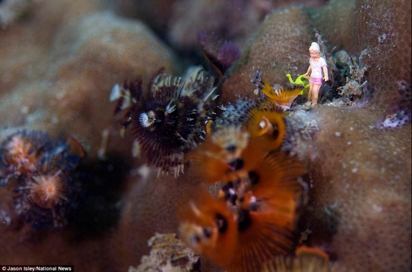 juguetes de vida submarina juguetes de vida submarina