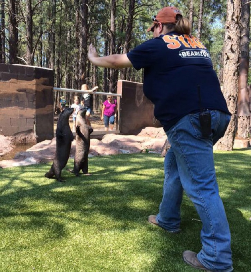 jurassic zoo jurassic zoo